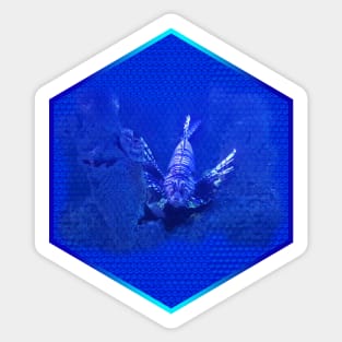 Lionfish on Blue Hexagonal Bubblewrap Pattern Sticker